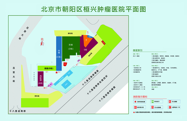 女人被男人的坤坤免费看视频北京市朝阳区桓兴肿瘤医院平面图